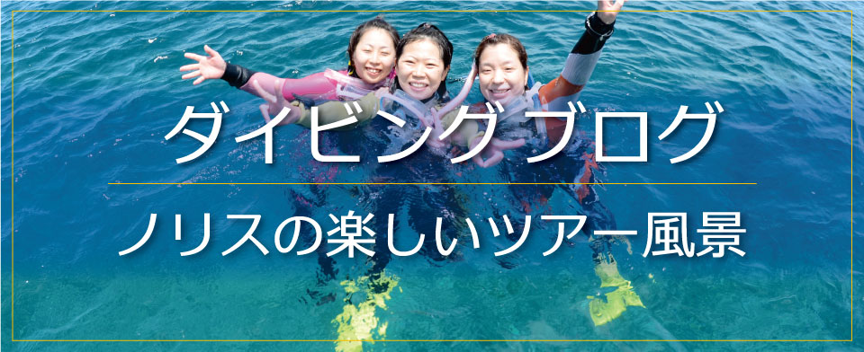 ノリス岡山店のダイビングブログ