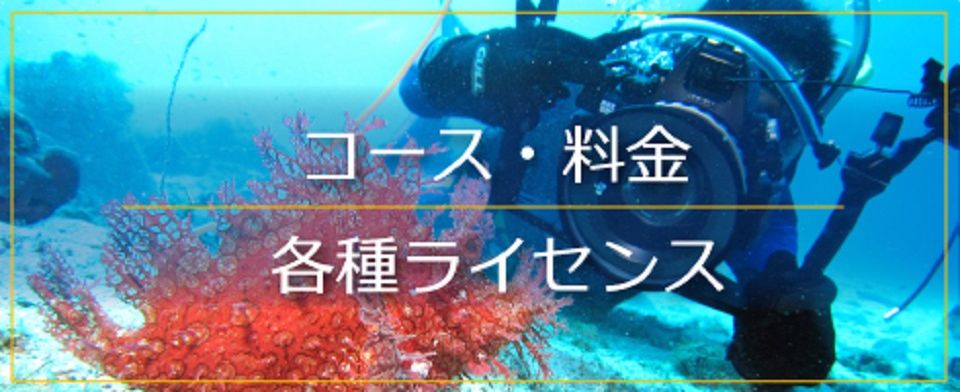 ノリス岡山店のコース・料金