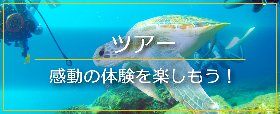 ダイビングスクールノリス岡山店のツアー