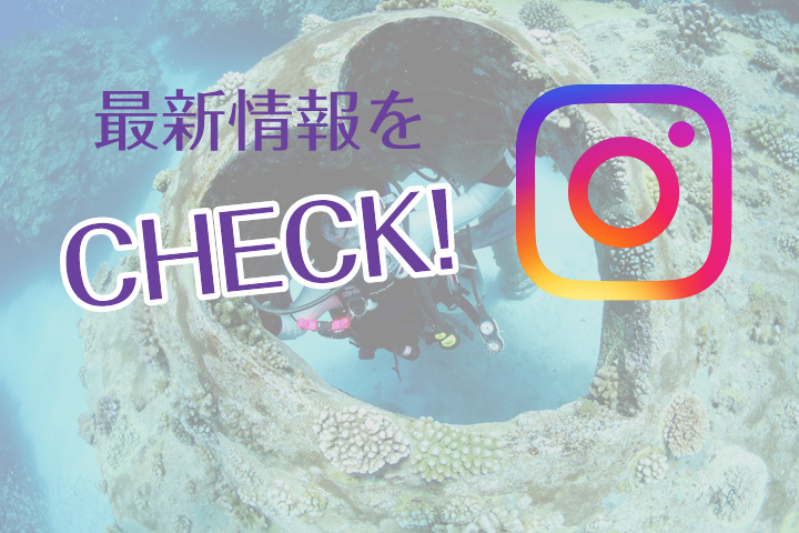 公式INSTAGRAM