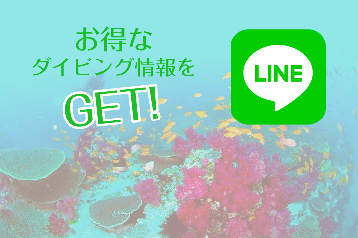公式LINE