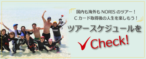 国内も海外もNORISのツアー!Cカード取得後の人生を楽しもう! ツアースケジュールをチェック!